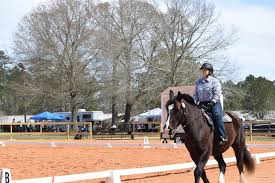 Concentrate as described below or used in conjunction with other feeding programs as a supplemental source of omega fatty acids. Omega Match Ration Balancing Horse Feed Purina