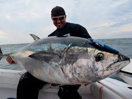 Fishfinder Tech Pick The Right Transducer For Tuna Fishing On The Water