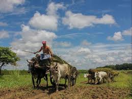 Pradhan mantri kisan sammann nidhi (pmksn, translation: Budget 2020 Pm Kisan Scheme May See A Cut In Govt S Budgetary Allocation Business Standard News