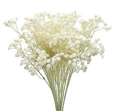 Dainty baby's breath is actually quite a tough plant. Duovlo 10pcs Babies Breath Flowers 23 6 Artificial Gypsophila Bouquets Real Touch Flowers For Wedding Home Diy Decor Wantitall