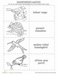 If you acquire questions about the dvd format, or. Rainforest Coloring Pages Printables Education Com