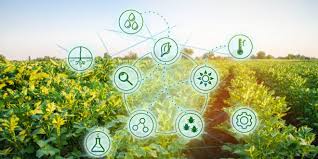 Simple 'storage only' farm records websites. Blog A Word On Precision Agriculture Potato Business