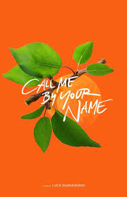 Call Me By Your Name Original Movie Poster If I M Stupid Let Me Be Stupid Soft Timmy Cmbyn Posters 2 Call Me Your Name Movie Names