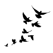 The company was founded on just two basic principles in need of timely and efficient phoenix, az pest control services? Jiminey Kricket Pest Control Offering Solutions For A Pest Free Home 602 230 2043