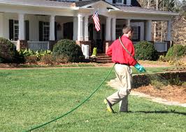 For a healthy lawn, you've got to work your way up from the bottom. Turf Masters Learn How To Care For Your Zoysia Grass