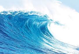 Looking for the definition of sea? The Sea In Us