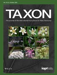 Image result for Acalypha psilostachya