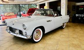 Image result for Snowshoe White 1955 Thunderbird