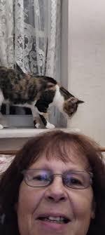 Last night something nudged my head. I thought it was one of my cats. Awe  and right now 6 am she is talking and checking things out. Caliope is doing  well and eyes are such an improvement. She would ...