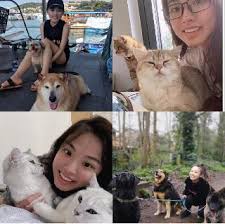 Based in southampton in hampshire, this company boards cats and dogs United Kingdom Pet Boarding Sitting Grooming Petbacker