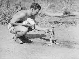 26 Photos Historiques Hyper Emouvantes Qui Vous Rechaufferont Le Coeur Photos Historiques Animales Historique