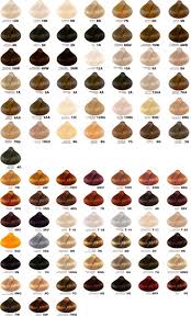 13 Best Images About Hair Color Chart Wheel On Pinterest