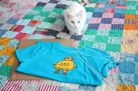 Veja Como Fazer Uma Toca Para Gatos Usando Uma Camiseta Velha