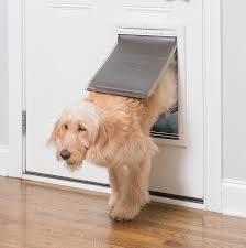 petsafe extreme weather door all bloggers den best products pet door dog door best dog door