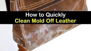 How do you remove mildew from leather seats? 4 Simple Ways To Clean Mold Off Leather