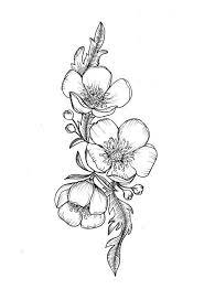 Buttercup Flower Tattoo 2 570 X 836 Buttercup Flower Tattoo Blumen Tattoo Blumentattoos Blumen Skizzen