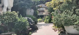 Millennial Diagnostic Laboratory