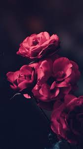 Every new version of windows comes with a beautiful default wallpapers set created by professional photographers and. Beautiful Wallpapers Hd Home Facebook