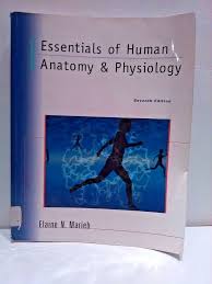 Essentials Of Human Anatomy And Physiology 7th Edition Elaine Marieb Textbook Human Anatomy And Physiology Anatomy And Physiology Anatomy And Physiology Textbook