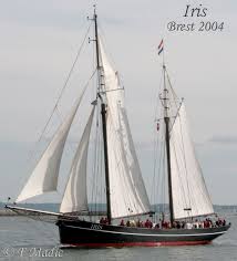 Voiliers Traditionnels Vieux Greements Et Modernes Grands Voiliers Les Voiliers De Peche Old Sailing Ships Sailing Ships Tall Ships