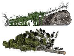 Https Www Deviantart Com Roy3d Art Fallen Trees 01 Png Stock 456118716 Autumn Trees Tree Png