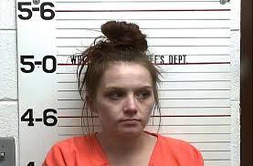 7 arrested in drug sting by White County Sheriff's Office