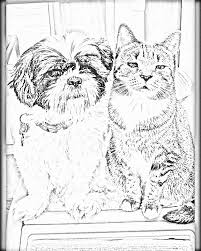 You can turn into a coloring page any drawing, image or photo (that you found on the internet or that you have drawn and scanned). Converting Photo To Drawing For Coloring Book Adobe Support Community 10772952