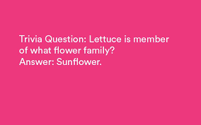 To this day, he is studied in classes all over the world and is an example to people wanting to become future generals. 100 Unique Bar Trivia Questions And Answers Hard Easy