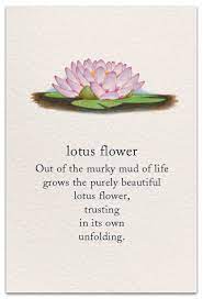 Check spelling or type a new query. Lotus Flower Support Encouragement Card Cardthartic Com