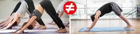 Our ultimate guide to yoga for beginners is here to help you feel confident about stepping on the mat and get you started on your yoga journey. Guyoga Man Flow Yoga Edition Beginner S Yoga For Men
