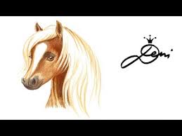 Horse Drawing Pferd Zeichnen Pferdekopf Malen Risuva Kon Haflinger Speeddrawing É©¬ Youtube