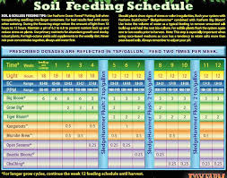 Understanding Fox Farm Feeding Schedule Plan A Successful