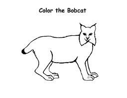 Kids Drawing Bobcat Coloring Pages Best Place To Color