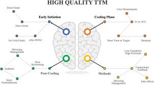 Are you looking for the meanings of ttm? High Quality Targeted Temperature Management Ttm After Cardiac Arrest Critical Care Full Text