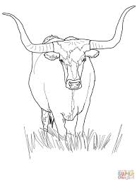 Texas Longhorn Cattle Coloring Page From Longhorn Category Select From 29189 Printable Crafts Of Cartoons Nature Cow Coloring Pages Longhorn Cattle Texas Art