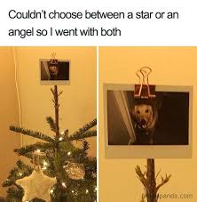 What are your favorite christmas cookies?? Christmas Memes 20 Of The Best Christmas Memes
