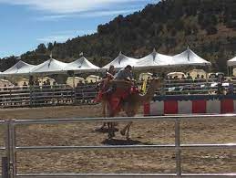 Virginia city, bekannt als eine der schönsten noch erhaltenen städte des wilden westens, bietet im spätsommer mit den „60th annual international camel. Fun Things To Do In And Around Reno Nv Trekaroo