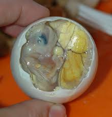 They call it balut, but it's probably not something that really deserves a name of it's own. Balut Food Wikipedia