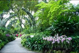 The collection of orchids is extremely varied and extensive, there are over 1000 pure. Orknirpfughmdm