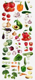 Watercolor Fruits And Vegetables Vegetable Illustration Vegetable Drawing Watercolor Fruit