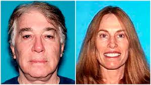 After fleeing to Israel, suspect in cosmetic surgery insurance fraud pleads  guilty