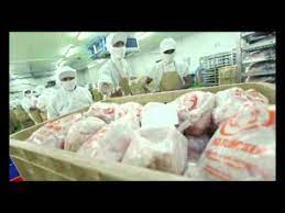 Cipta pangan adiperkasa hanya memproduksi produk sosis sapi, sosis ayam dan daging giling dengan metode produksi yang cukup sederhana. Video Profile Pt Ciomas Adisatwa Japfa Group Youtube
