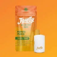 Papaya Punch Disposable Vape 1.5g | Jaunty Spring Valley NY