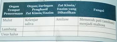 Paket buku mandiri yang terdiri dari : Tolong Ya Besok Kumpul Ipa Halaman 192 Brainly Co Id