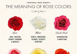 National Rose Month The Meaning Of Rose Colors Rose Color Meanings Rose Color Color Meanings