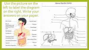 We did not find results for: Labeling Practice You Will Have 4 Different Sets Of Answers Ppt Download