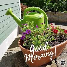 Good Morning Just Watered My Little Flower Garden You Habe To Start Somewhere Lol Have A Blessed Day And Enjoy The Summer W Watering Water Me Watering Can