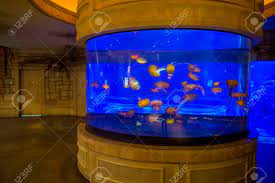 Las Vegas May 12 The Shark Reef Aquarium At Mandalay Bay Hotel And Casino In Las