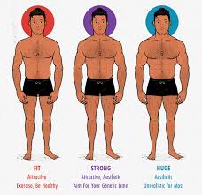 Customizable grays anatomy horizontal back muscles chart antique massage decor chiropractic gym office 8x10 9x12 11x14 16x20 18x24 24x36. The Skinny Guy S Guide To Aesthetics How To Build An Attractive Physique
