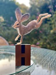 نتیجه جستجوی لغت [hare] در گوگل